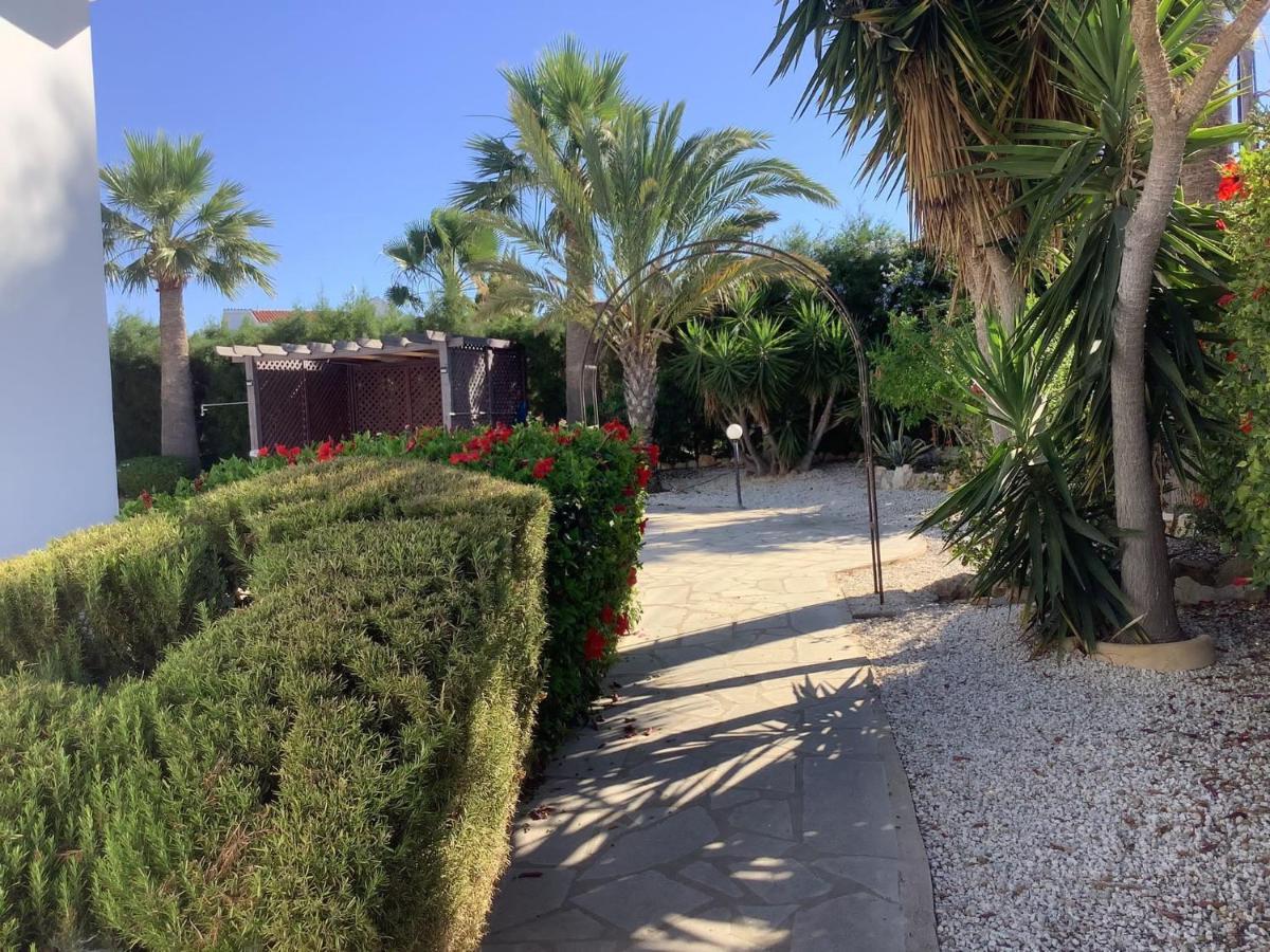 Villa Ambios Peyia Exterior photo